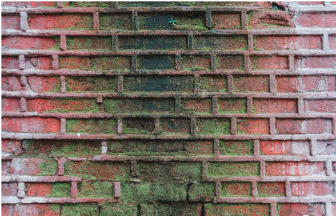 moisissure mur degat des eaux
